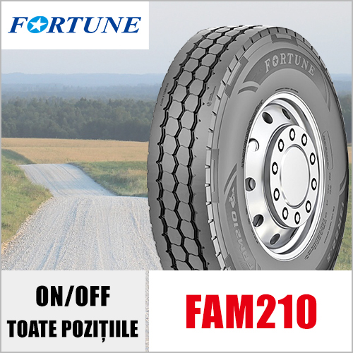 ANVELOPE CAMIOANE FORTUNE FAM210